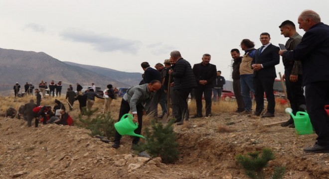 100. Yıl anısına bin fidan toprakla buluştu