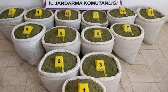 213 kilo toz esrar ele geçirildi