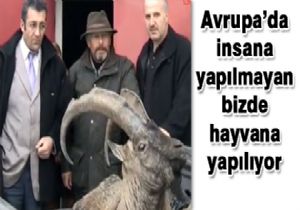 Alkışlar bu Erzurumlu ya