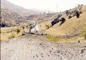 Terör operasyonunda 4 gözaltı