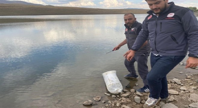 Akarsu ve göletlere yavru balık bırakıldı