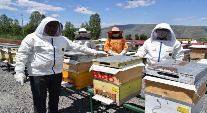 Başkan Sekmen Bal Ormanı’nı ziyaret etti