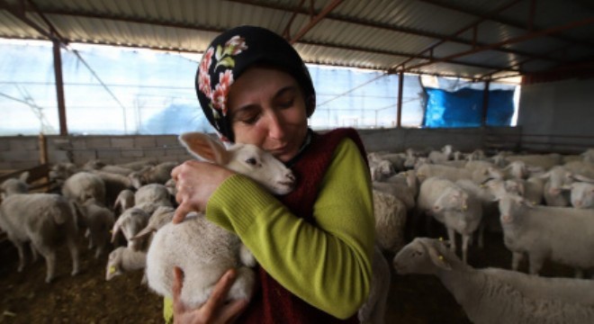 Besicilik alanında Türkiye’de bir ilk