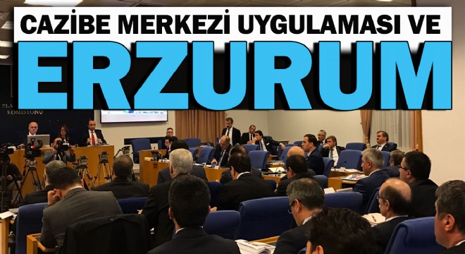 CAZİBE MERKEZİ UYGULAMASI VE ERZURUM