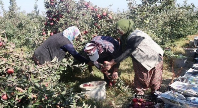 DAP ve DAKA’dan yüzde 50 hibe desteği