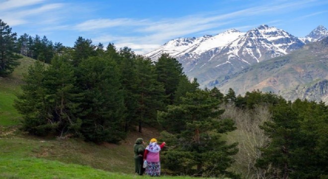 Doğa fotoğrafçıları İspir’de buluştu