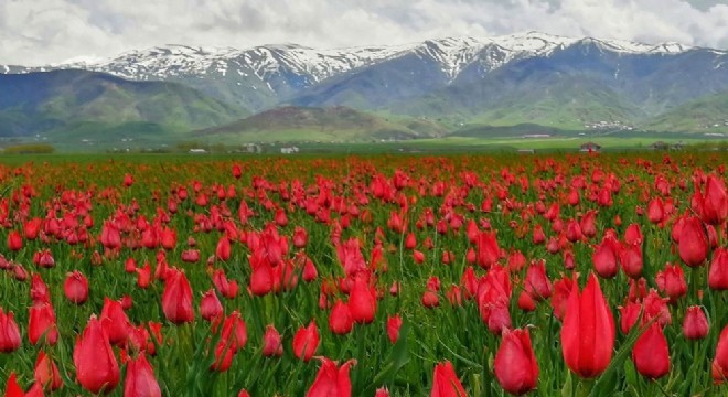 Doğu Anadolu’dan tablo gibi görüntü