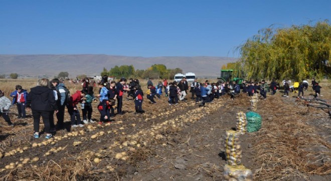 ETB’den öğrencilerle hasat mesaisi