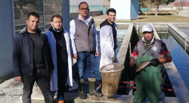 Fakülte öğrencilerine uygulamalı sağım dersi