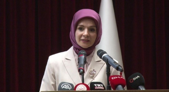 Göktaş:  Milletimiz göğsünü siper etti 