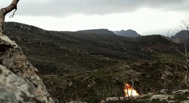 Hainlerin tuzağı imha edildi