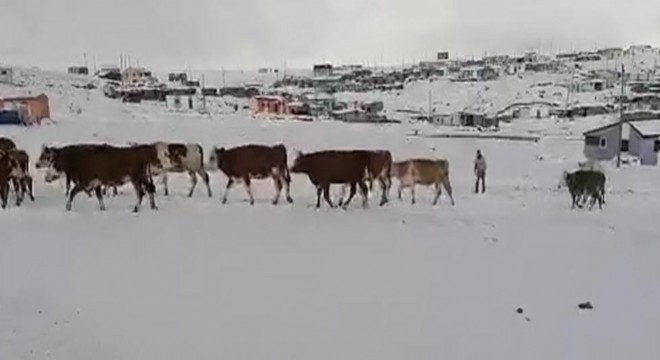 Kar etkili oldu, Yaylacıların dönüş dönemi başladı