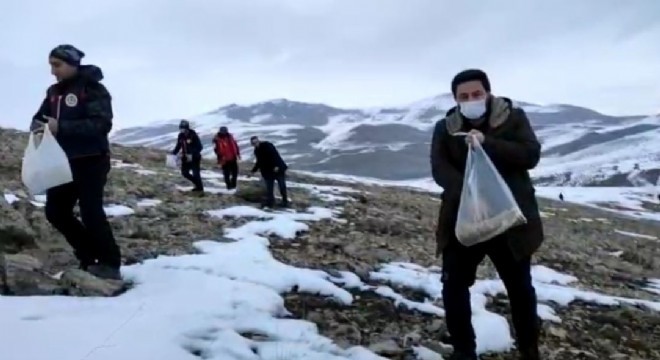 Karla kaplı dağlarda yaban yaşamına destek