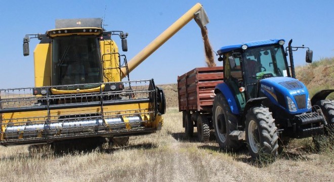 Kuraklık buğday verimini yüzde 60 düşürdü