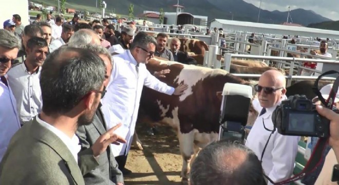 Memiş ve Sekmen tedbirleri denetledi