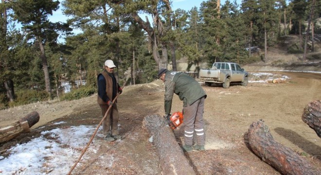 Orman işçilerinden kış mesaisi