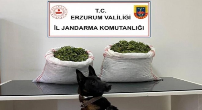 Pasinler de uyuşturucu operasyonu
