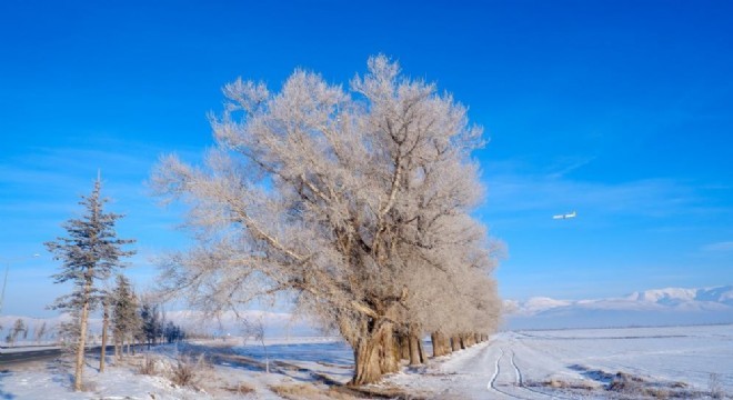 Soğuk rekoru Göle deydi