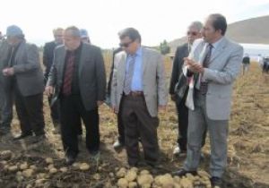 Patates üreticileri destek bekliyor