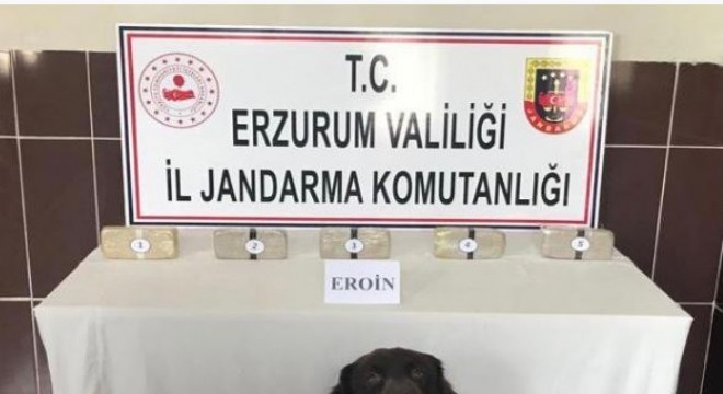 Uyuşturucu operasyonunda 1 tutuklama