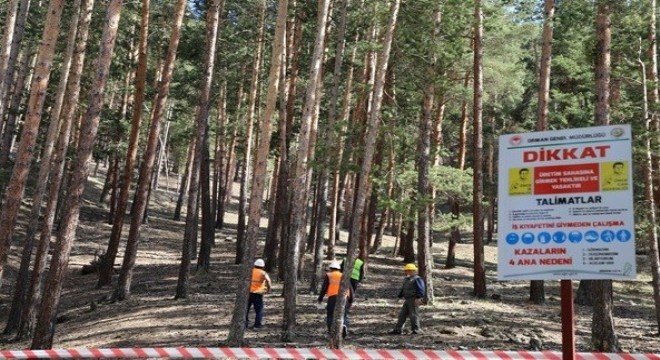 Uzundere ormanlarında eğitim çalışması