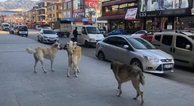 Vatandaşlar tedbir alınmasını istiyor