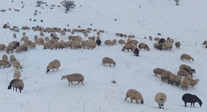 Yaylacıların dönüş yolu çilesi