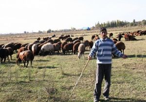 Metzemor’a tepki yağıyor