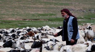 Besicilere destek verileri açıklandı