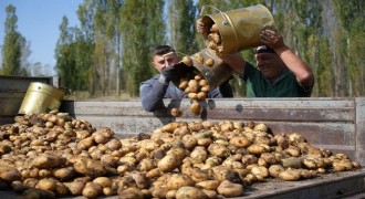 Tarım-GFE yıllık yüzde 29,73 arttı