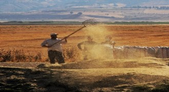 Tarım-ÜFE yıllık yüzde 60,77 arttı