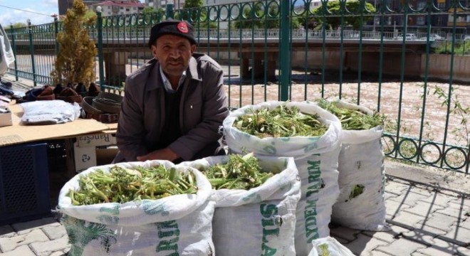 Çaşır tezgaha çıktı