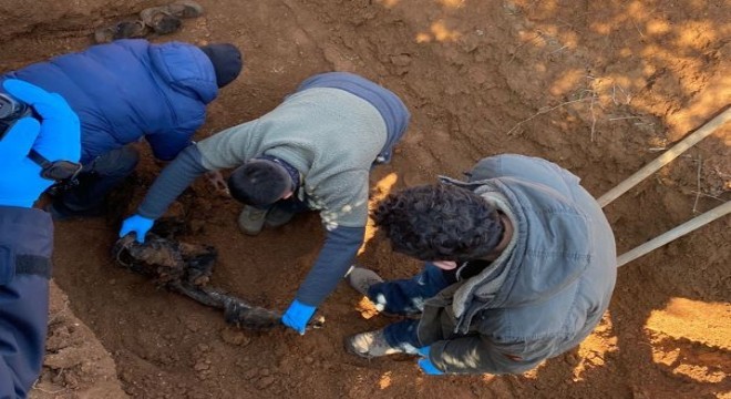 Şok edici bir gerçek ortaya çıktı