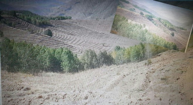 ‘Erzurum’a 8 milyon ağaç dikeceğiz’